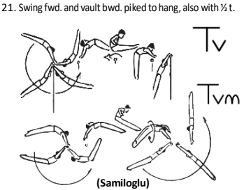Official symbol for Reverse Hecht Piked (Tkachev)