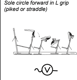 Official symbol for Sole Circle Forward in L-Grip