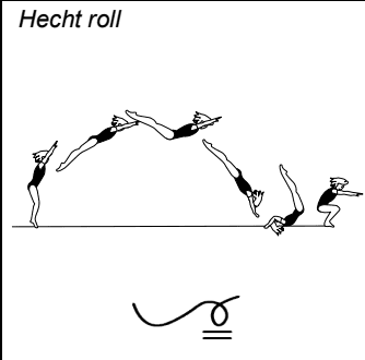 Official symbol for Dive Roll