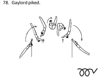 Official symbol for Gaylord Piked